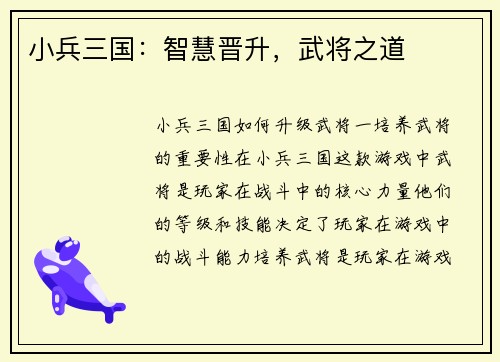 小兵三国：智慧晋升，武将之道